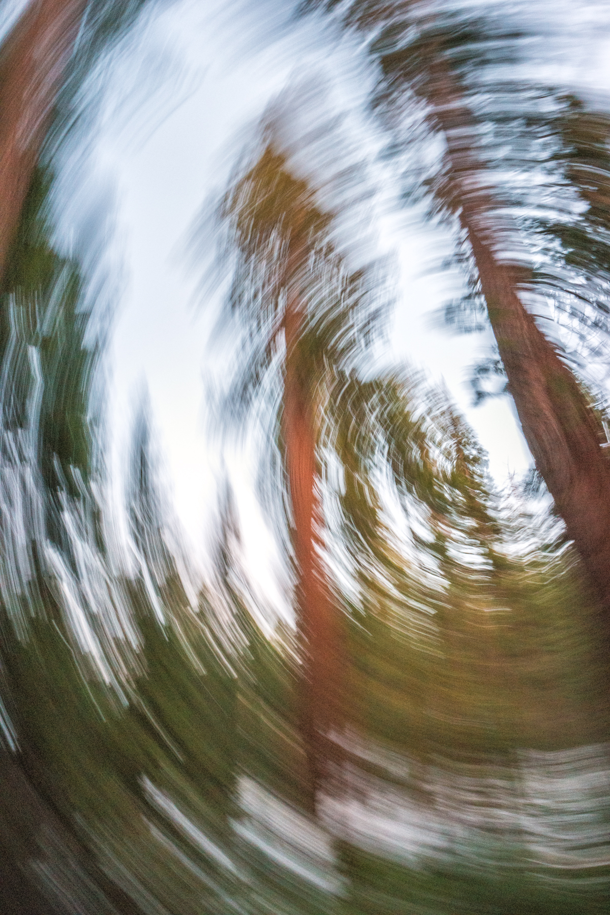 April2015 Yosemite California Samsung NX500 1800px