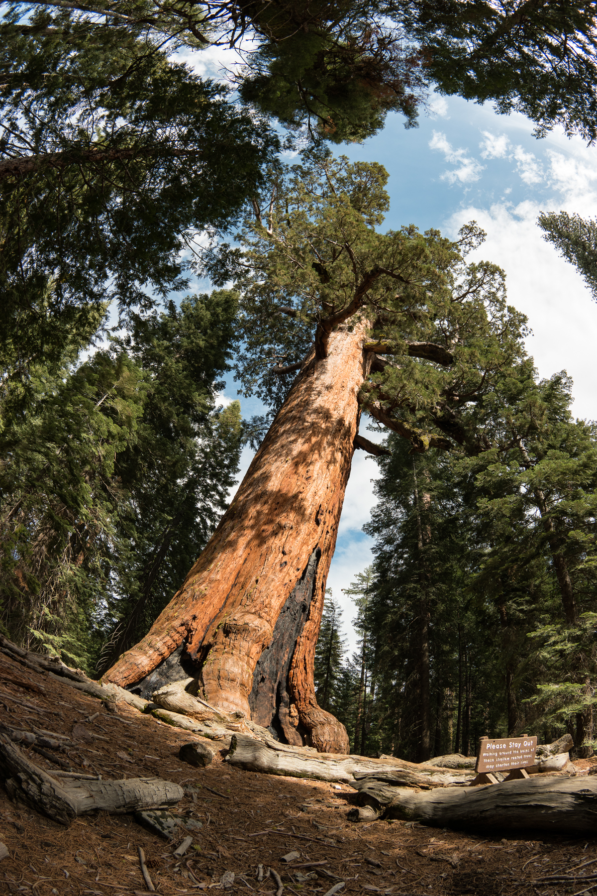 April2015 Yosemite California Samsung NX500