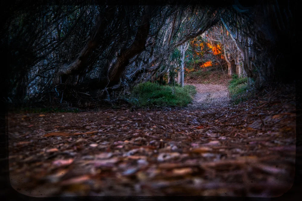 Big Sur California Part2