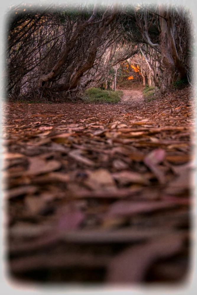 Big Sur California Part2
