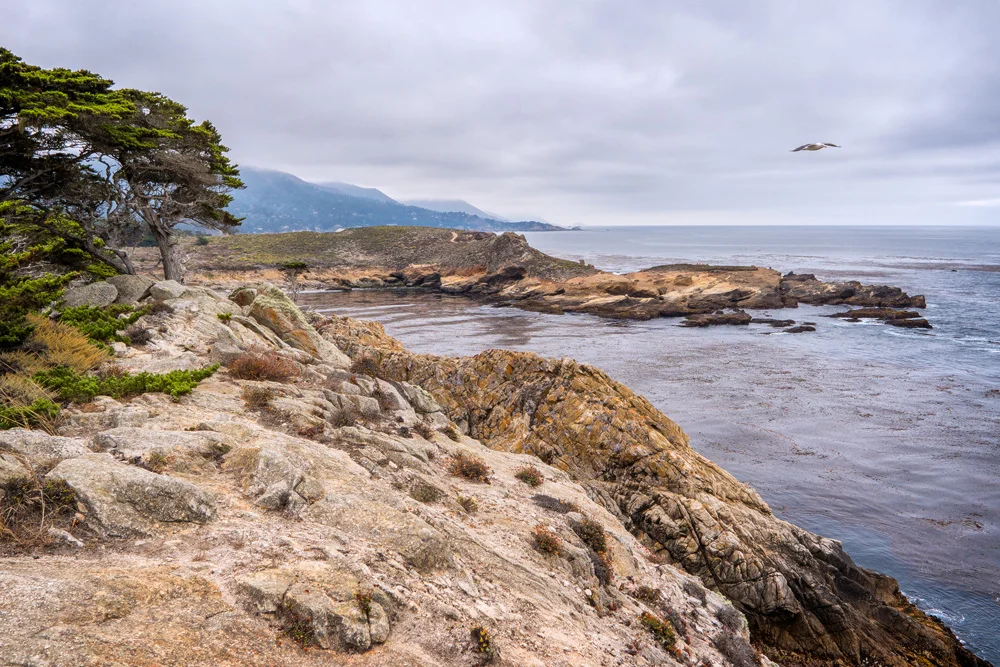 Big Sur California Part3