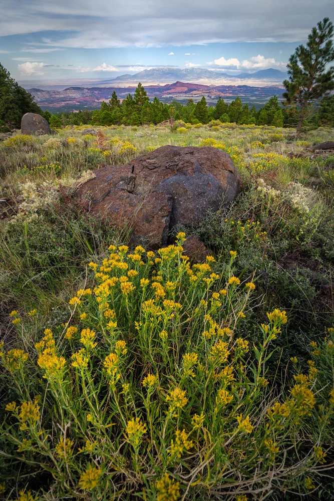 Bryce Canyon National Park Utah