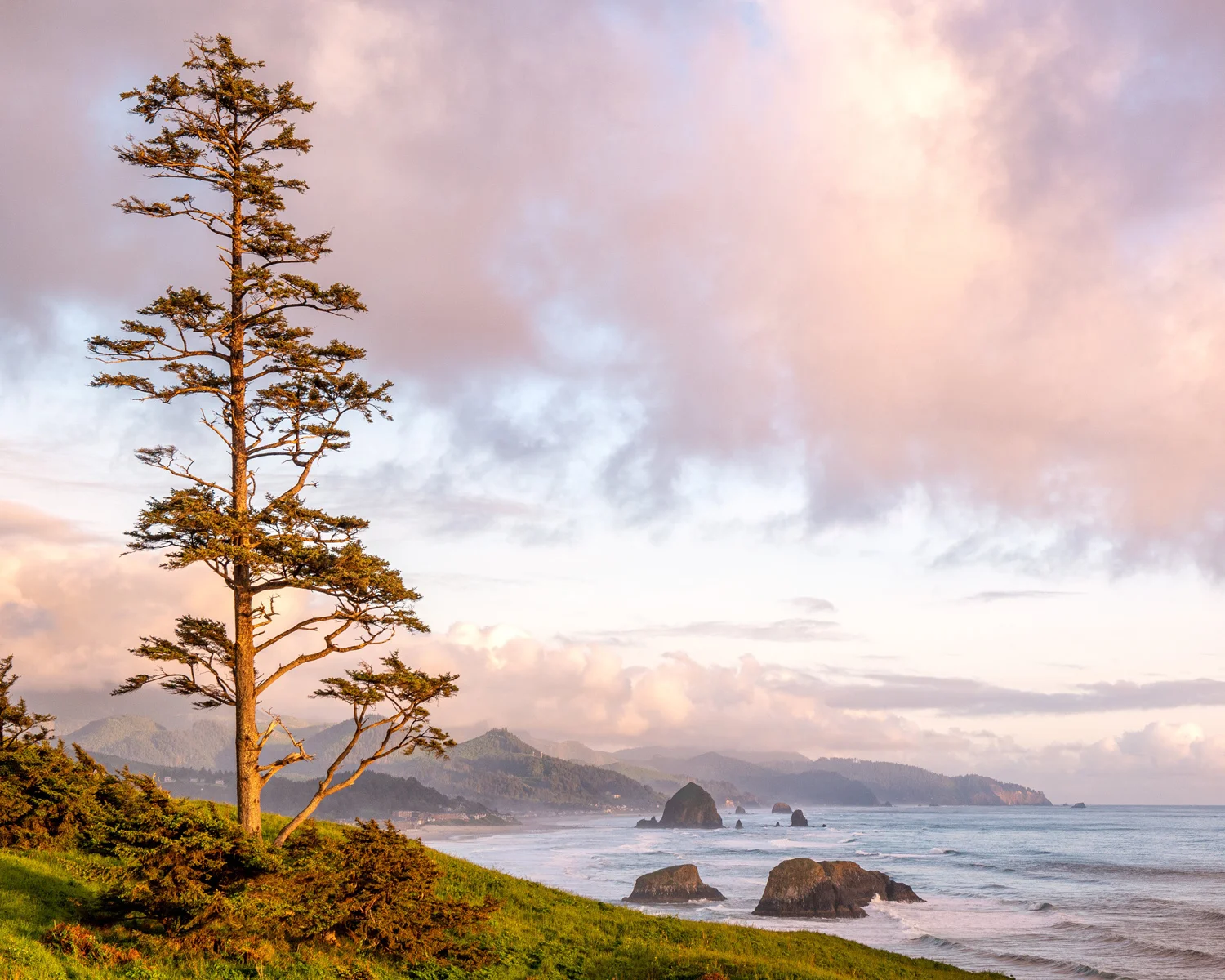 Ecola State Park Beach Oregon