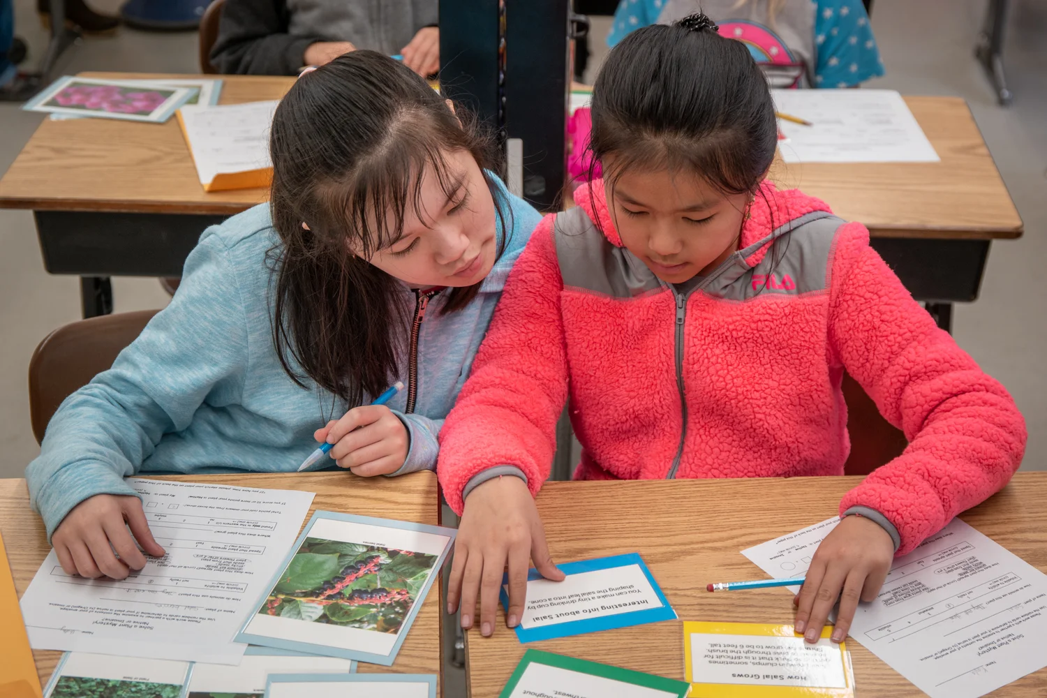 Ecologyin Classroomsand Outdoors ECO Curriculum Kits Portland Oregon