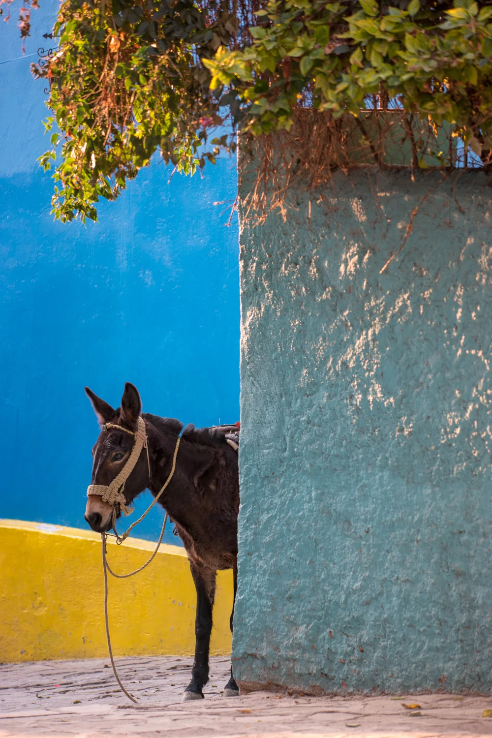 Guanajuato Mexico