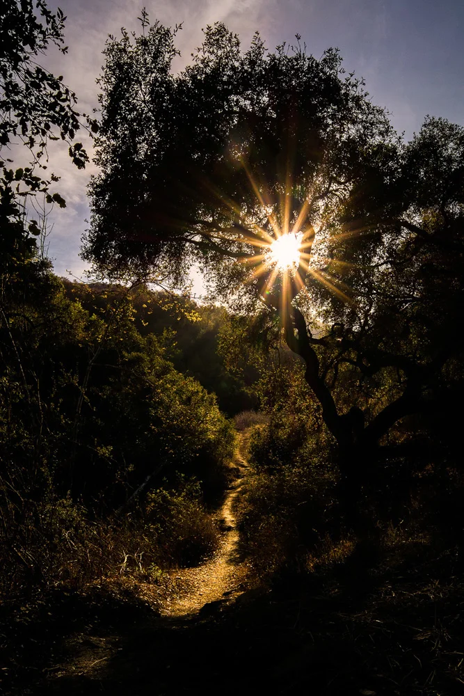 Hiking Topanga Canyon California