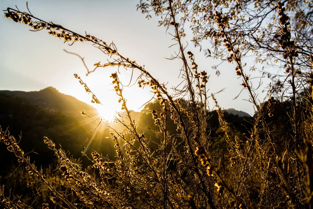 Hiking Topanga Canyon California