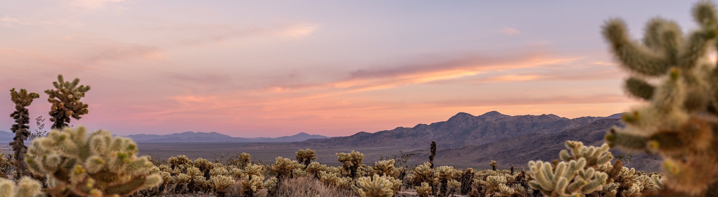 Joshua Tree National Park California