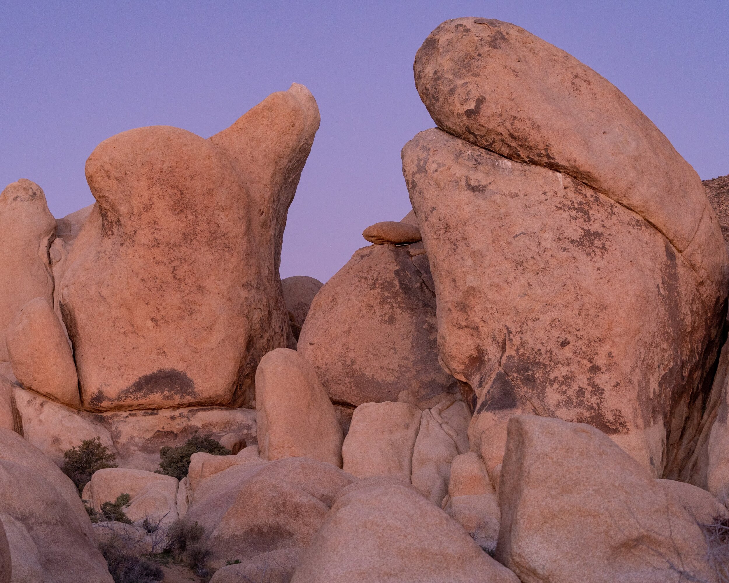 Joshua Tree National Park California