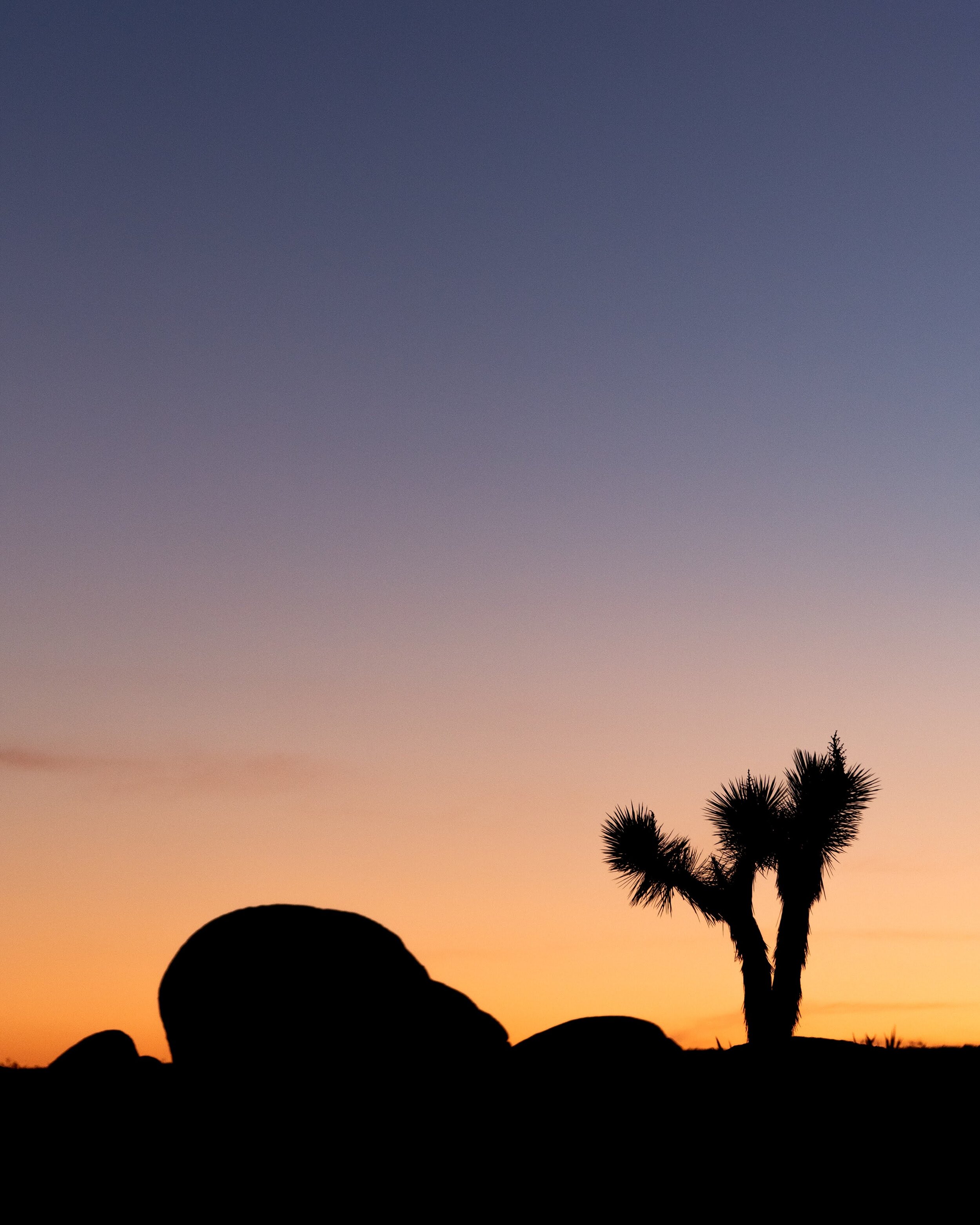 Joshua Tree National Park California