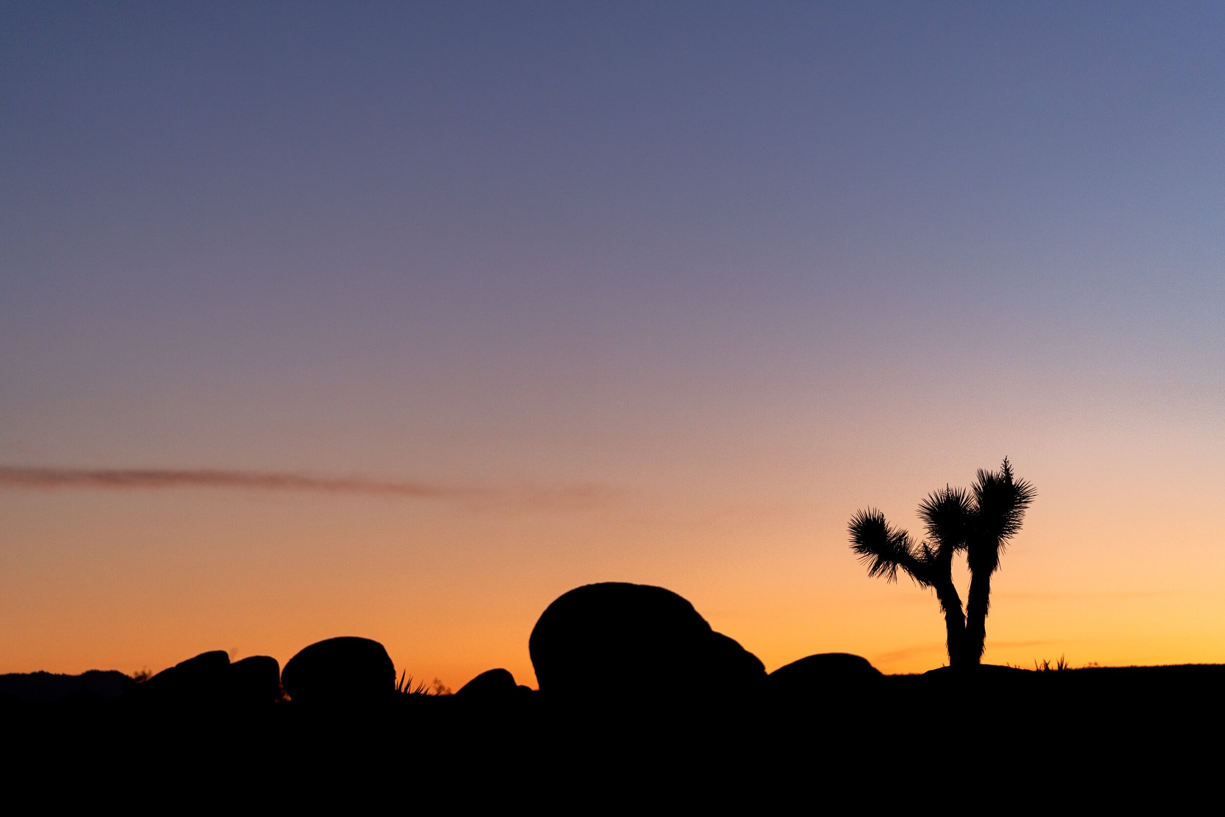 Joshua Tree National Park California