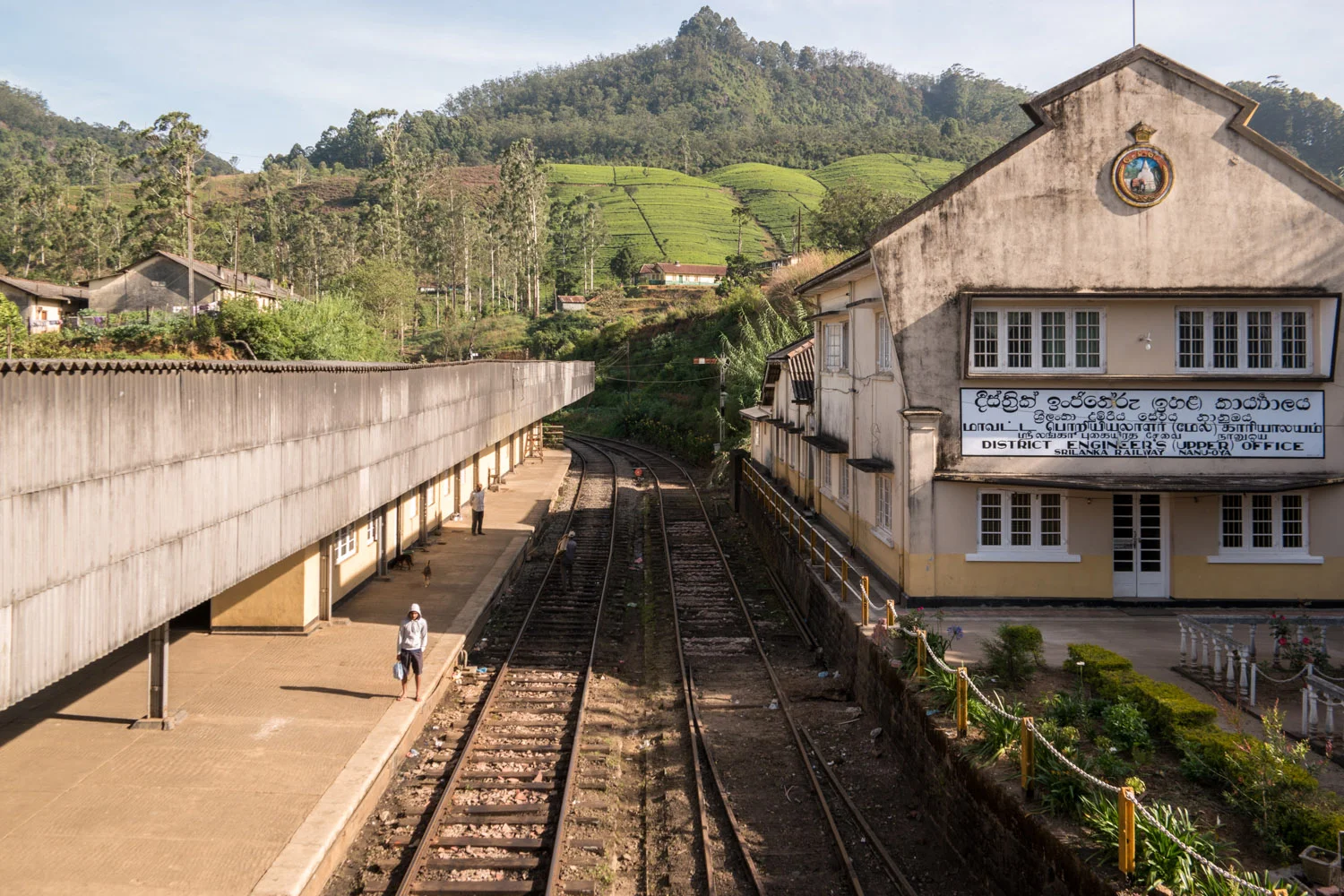 Kandy Sri Lanka February2015 Samsung NX1 200mm