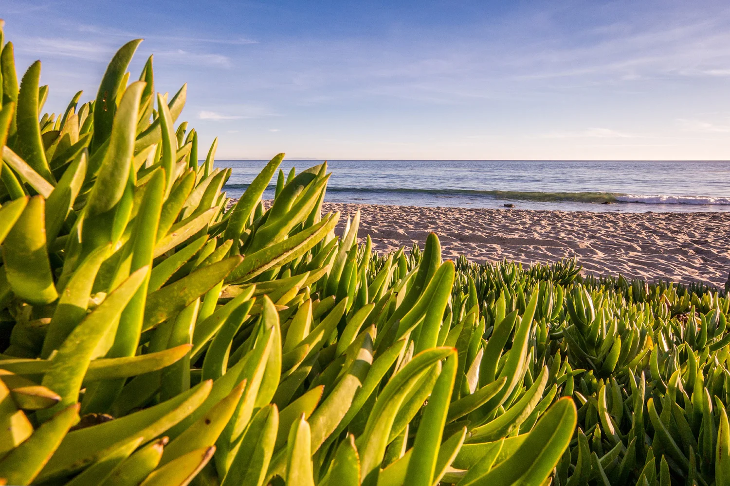 Malibu California Airstream