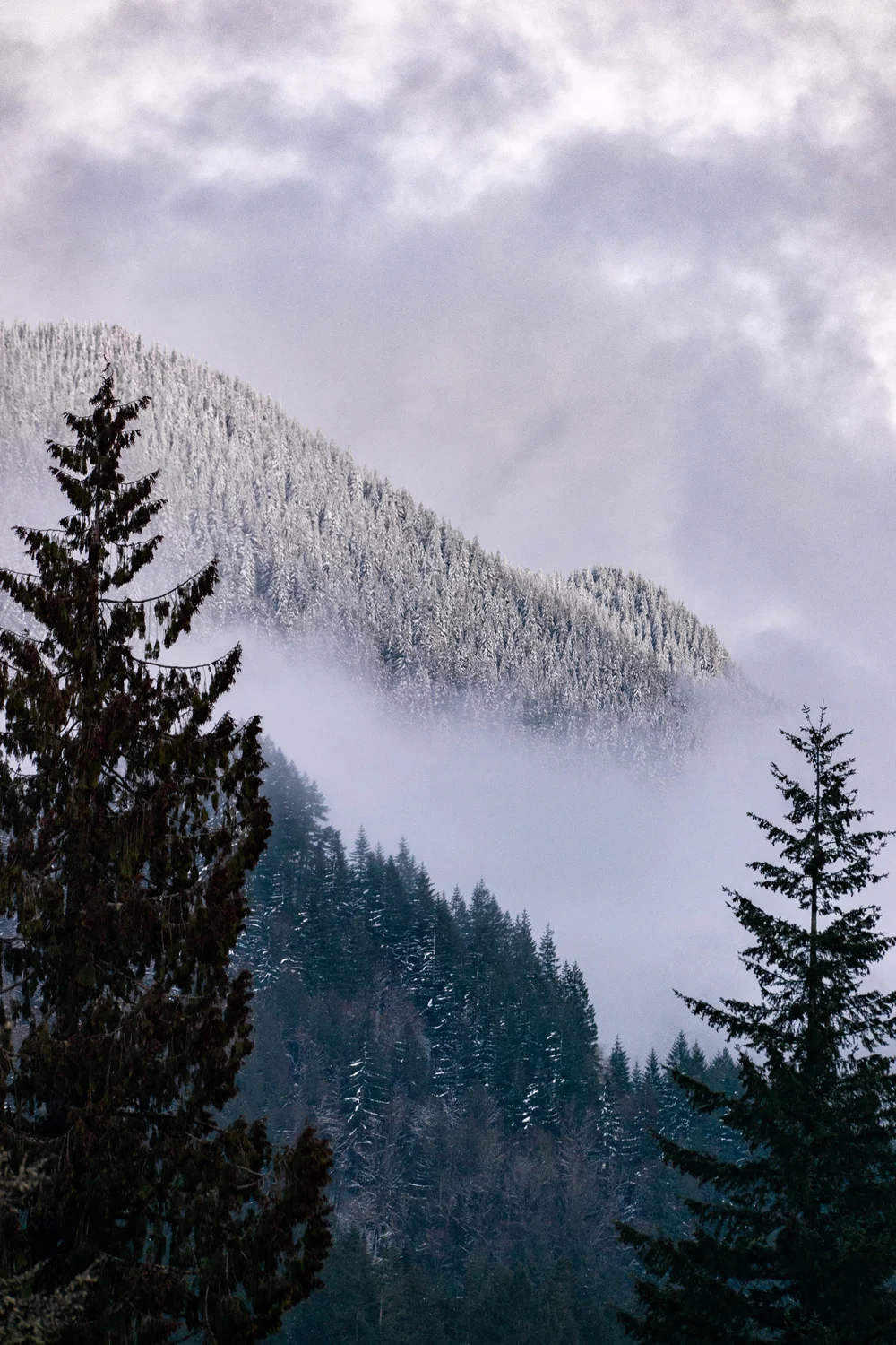 Mount Hood Oregon