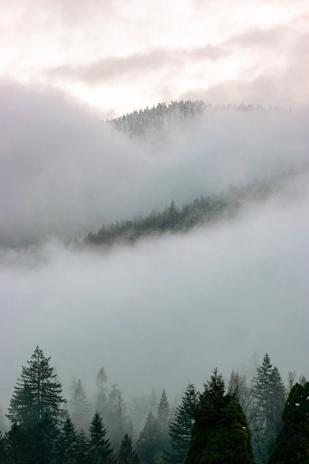 Mount Hood Oregon