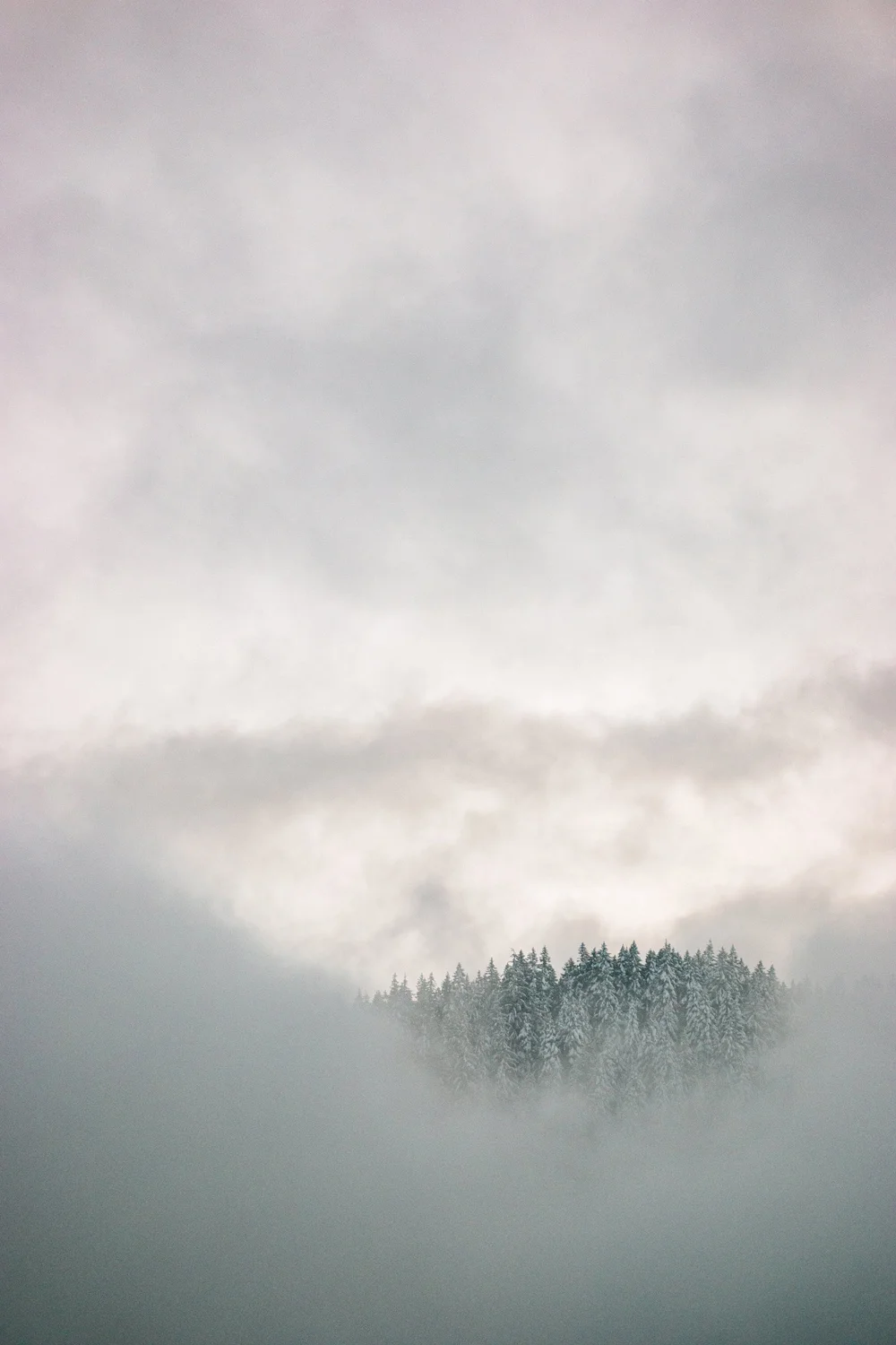 Mount Hood Oregon