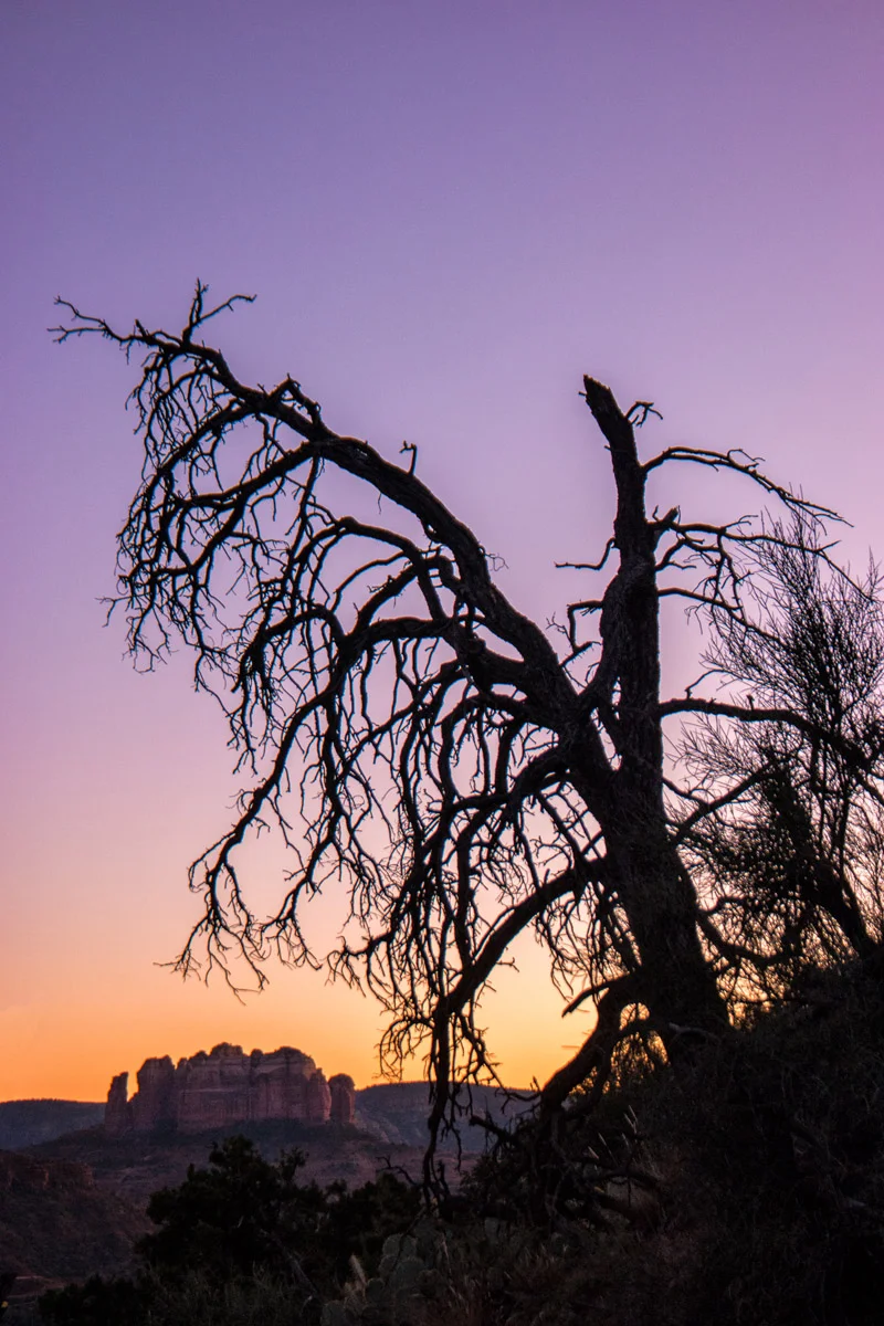 NX1 Sedona Arizona