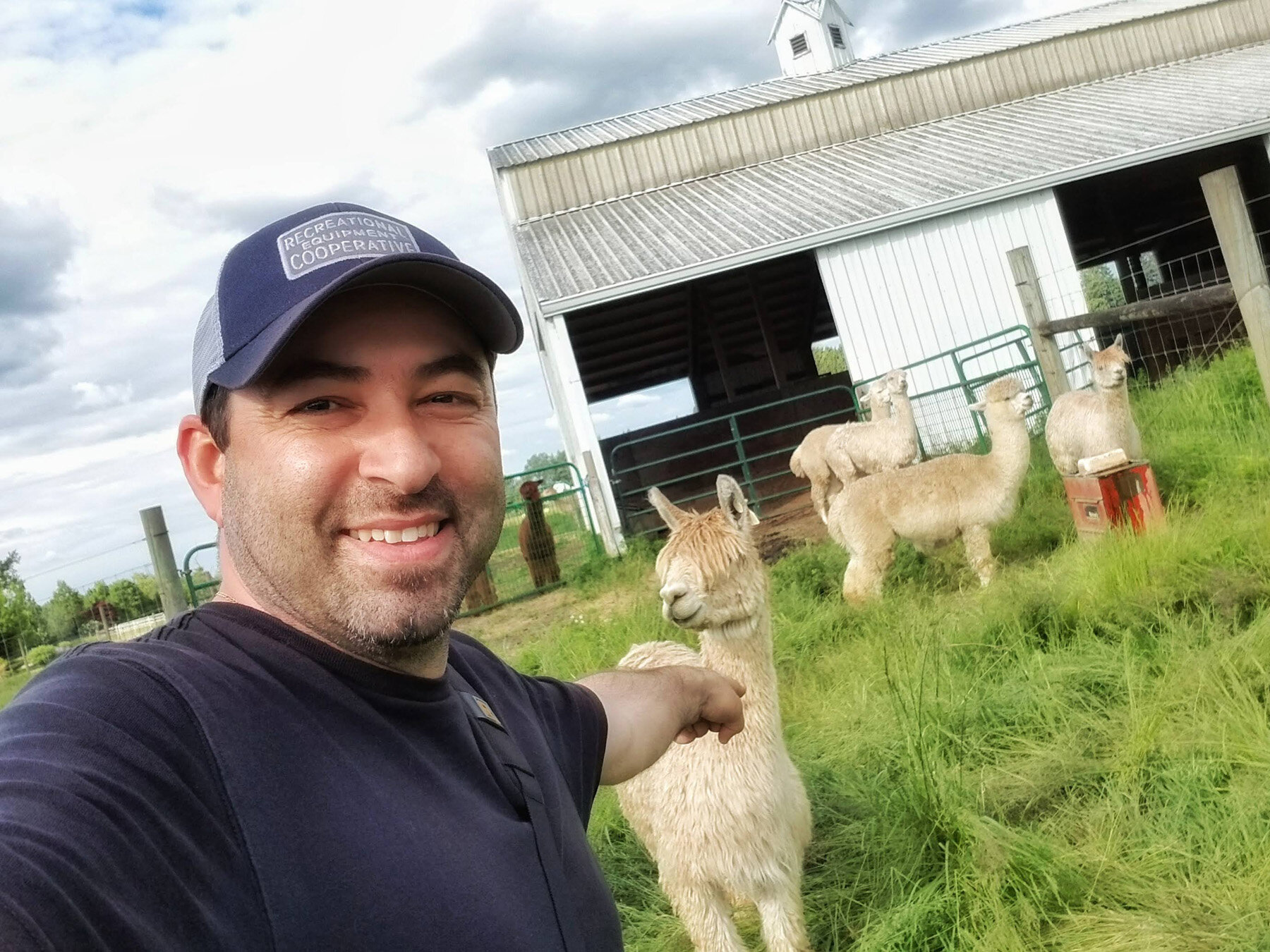 Oakwood Gardens Alpaca Oregon