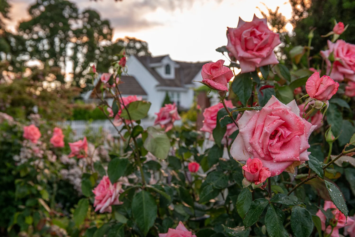 Oakwood Gardens Hillsboro Oregon