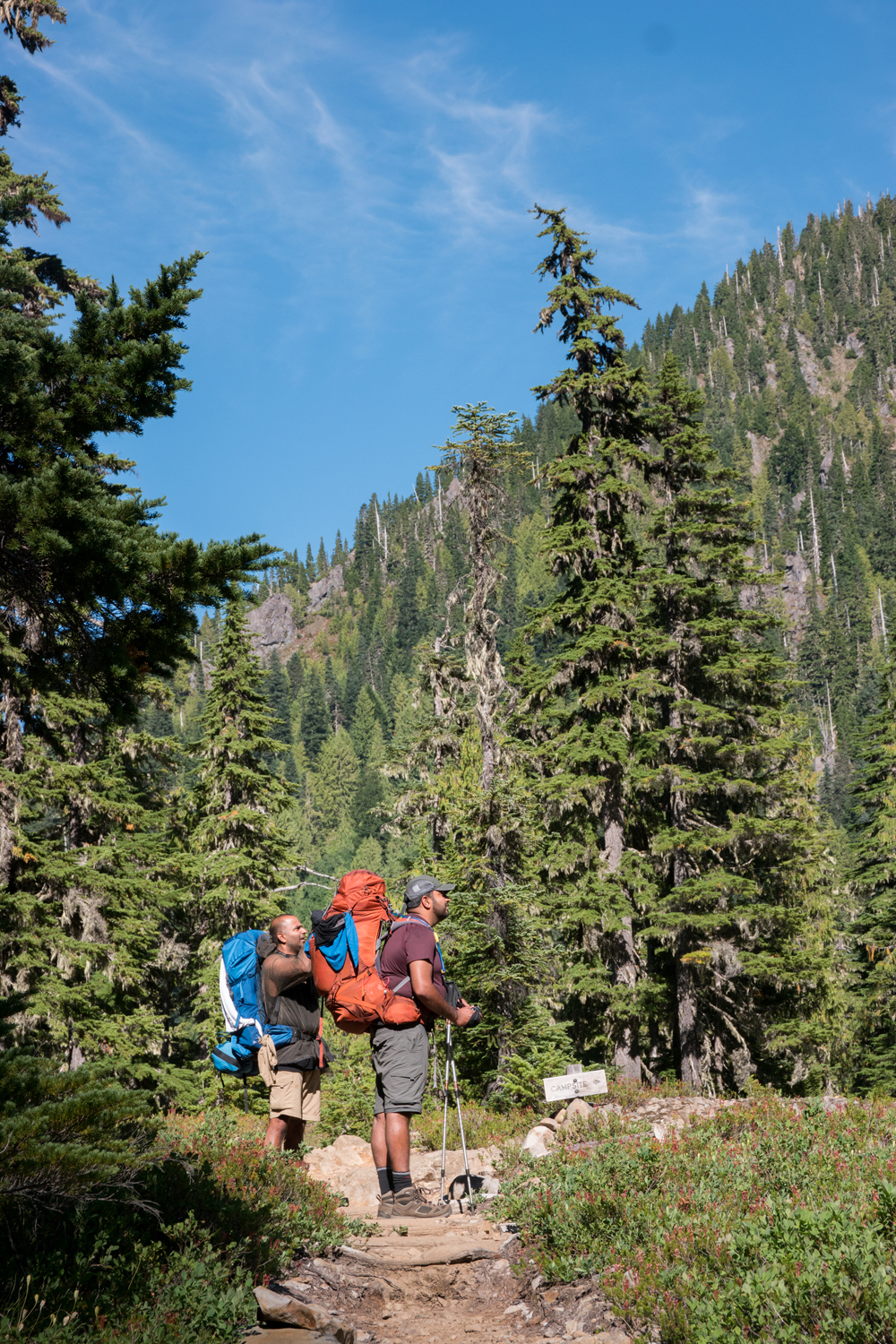 Olympic National Park High Divide Loop