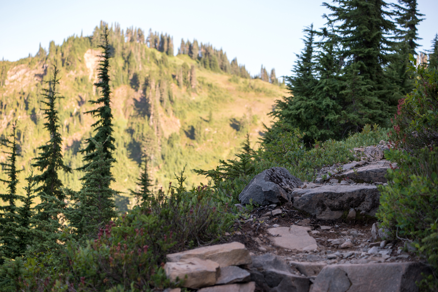 Olympic National Park High Divide Loop