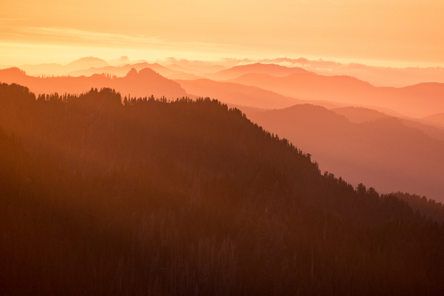Olympic National Park High Divide Loop