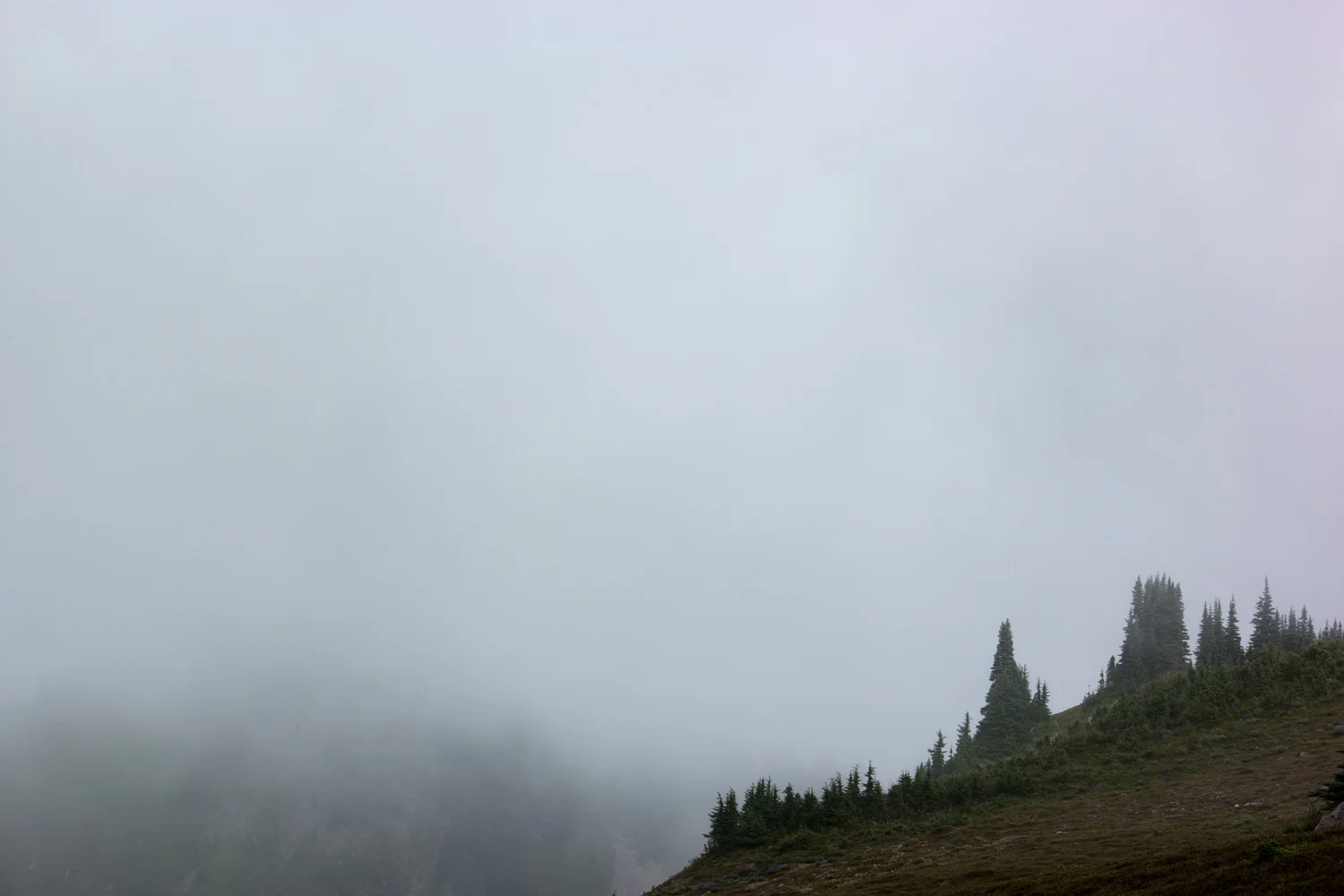 Olympic National Park High Divide Loop