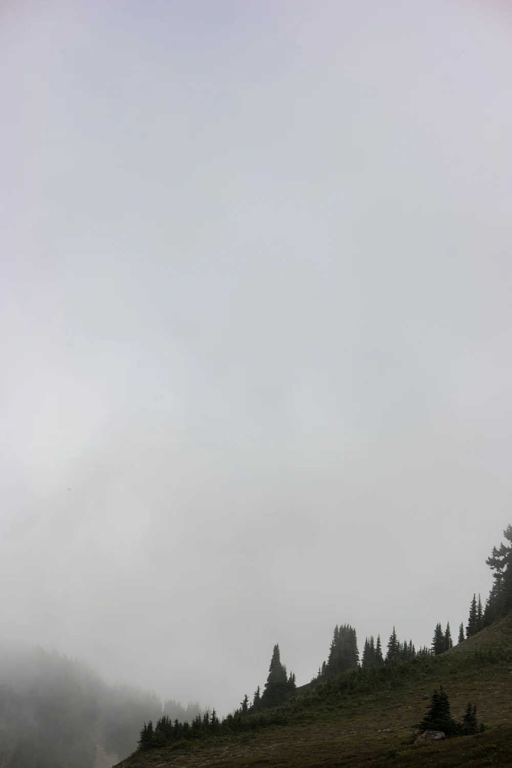 Olympic National Park High Divide Loop