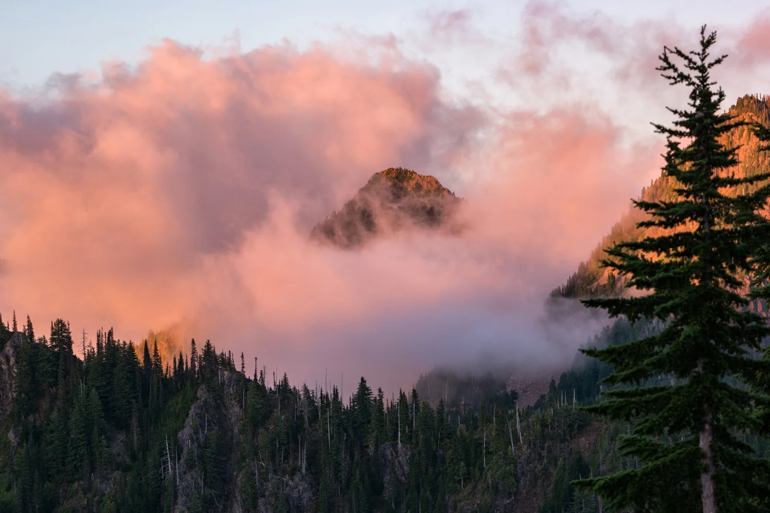 Olympic National Park High Divide Loop
