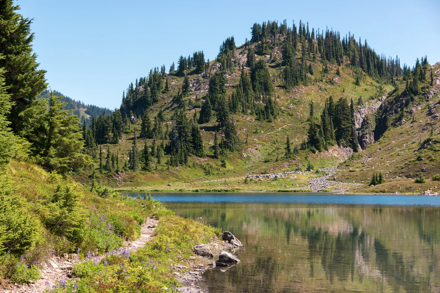Olympic National Park High Divide Loop