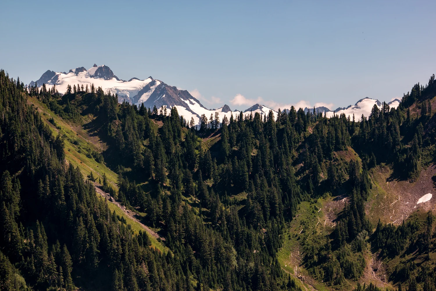 Olympic National Park High Divide Loop