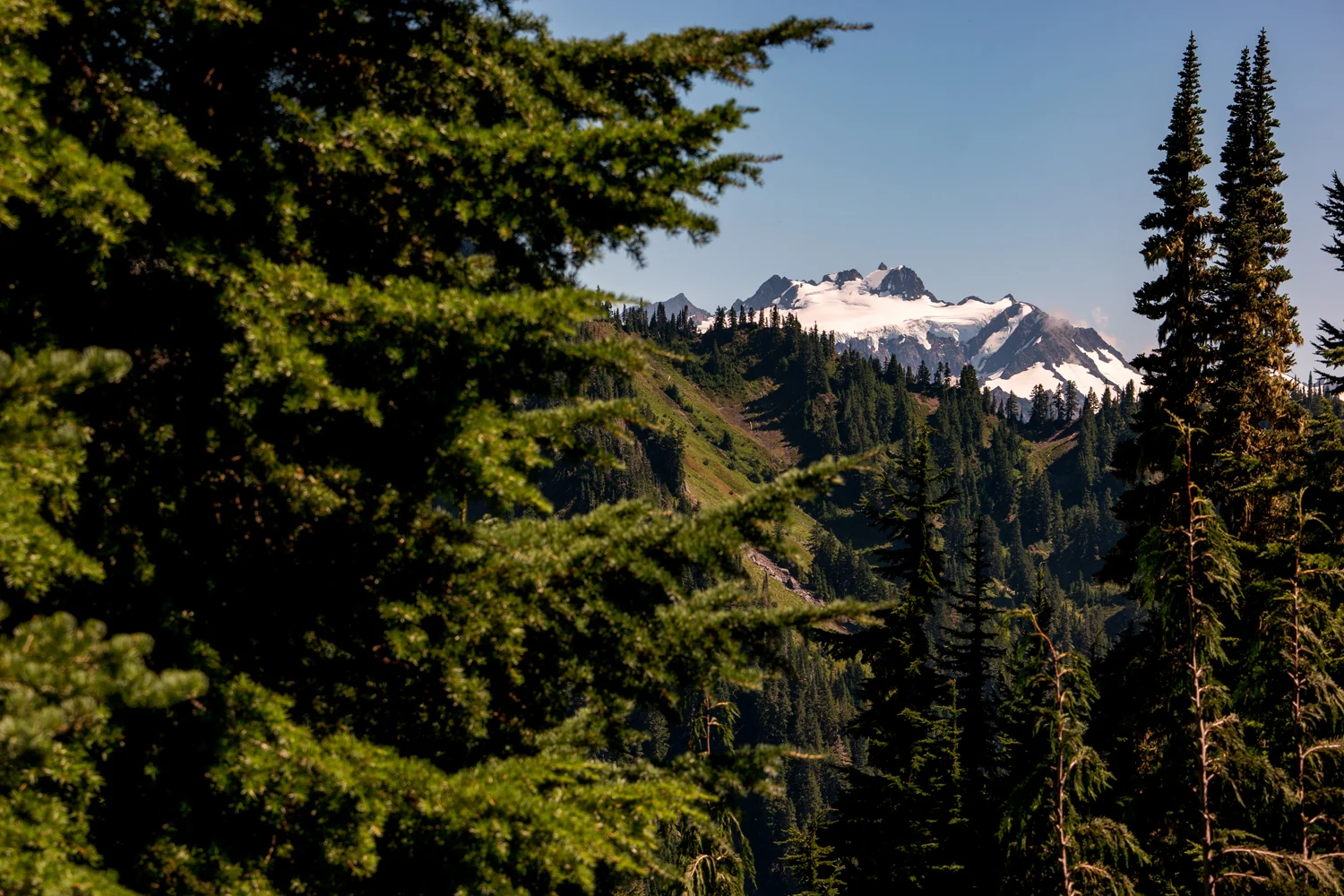 Olympic National Park High Divide Loop