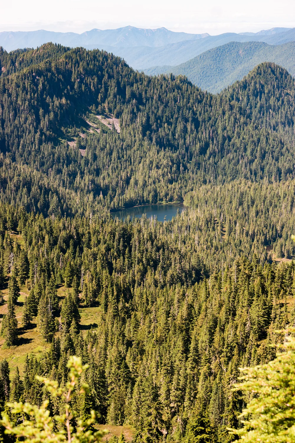 Olympic National Park High Divide Loop