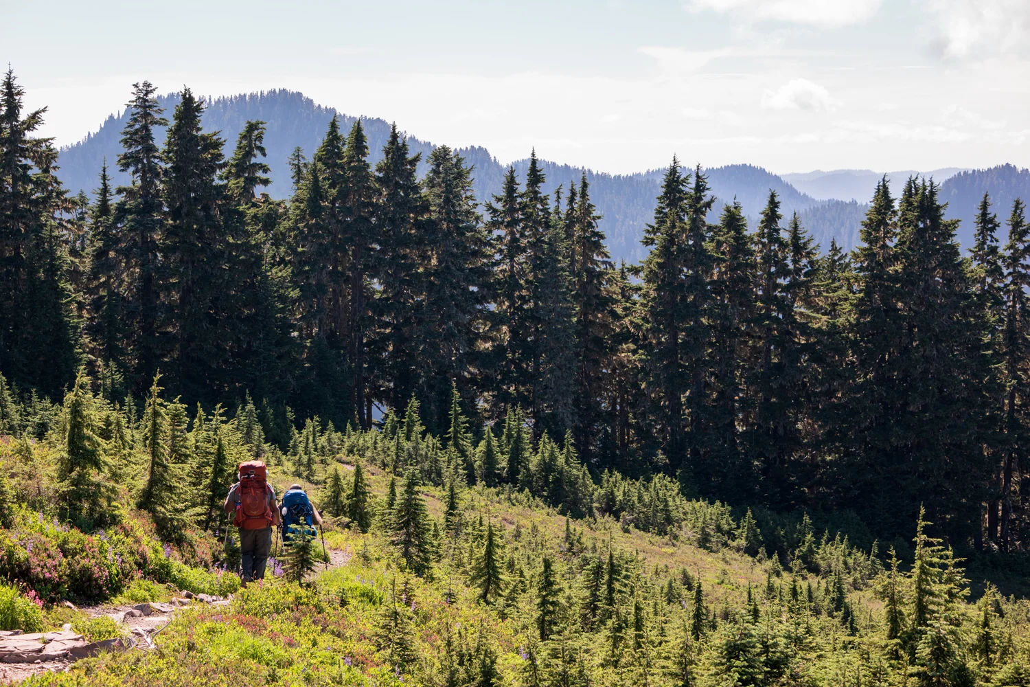 Olympic National Park High Divide Loop