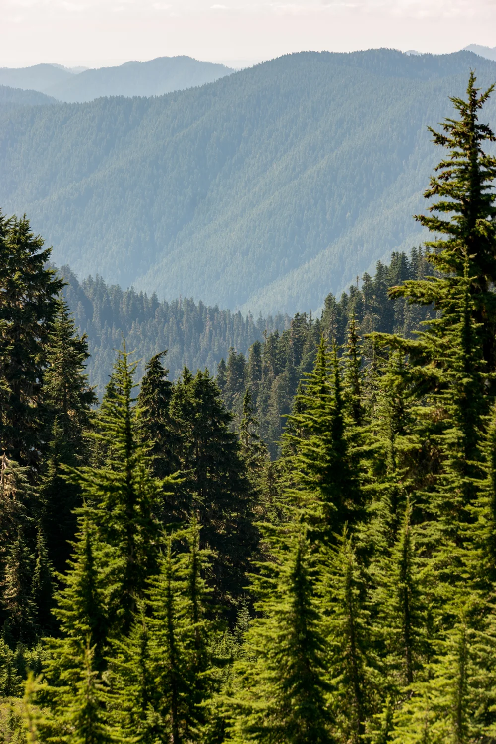 Olympic National Park High Divide Loop