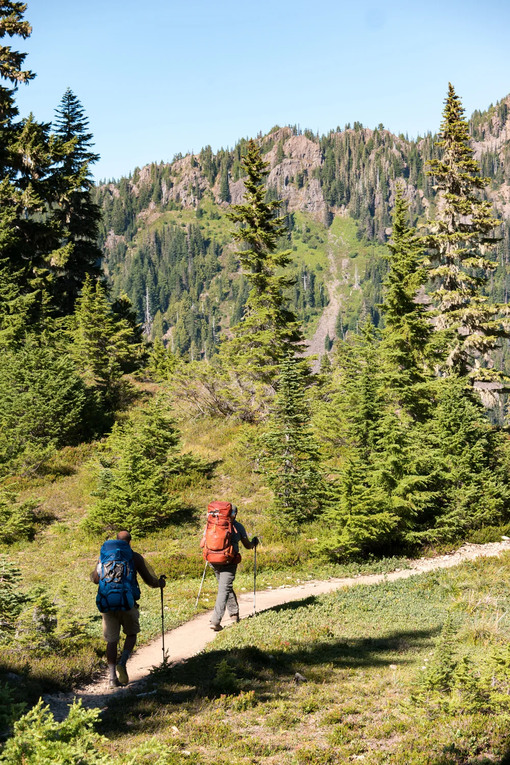 Olympic National Park High Divide Loop