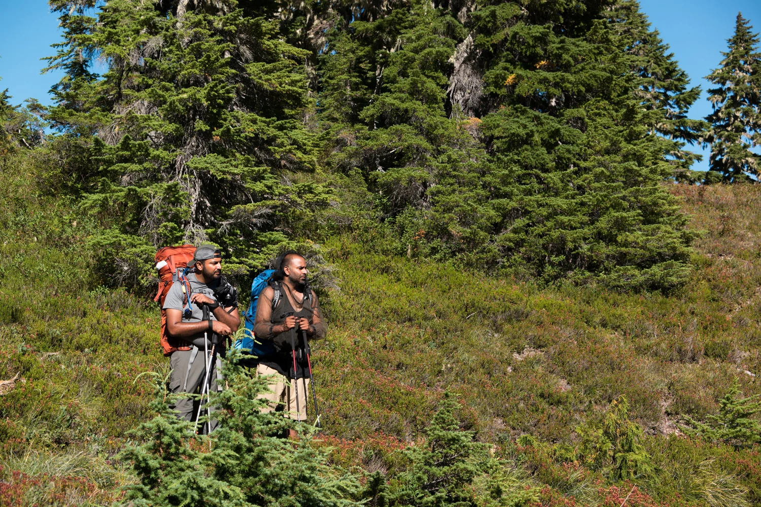 Olympic National Park High Divide Loop