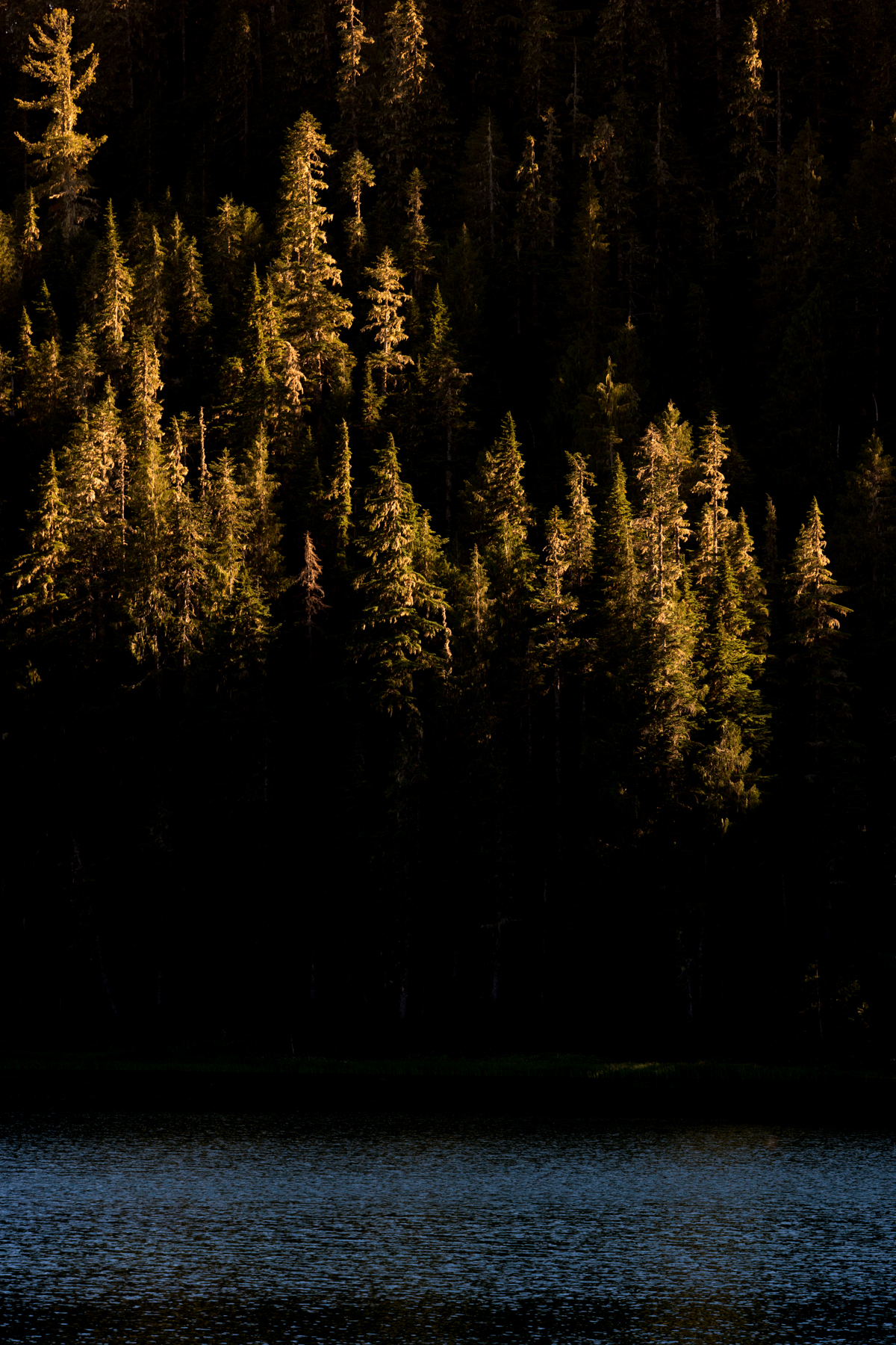 Olympic National Park High Divide Loop