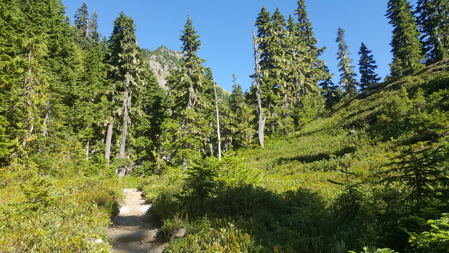 Olympic National Park High Divide Loop
