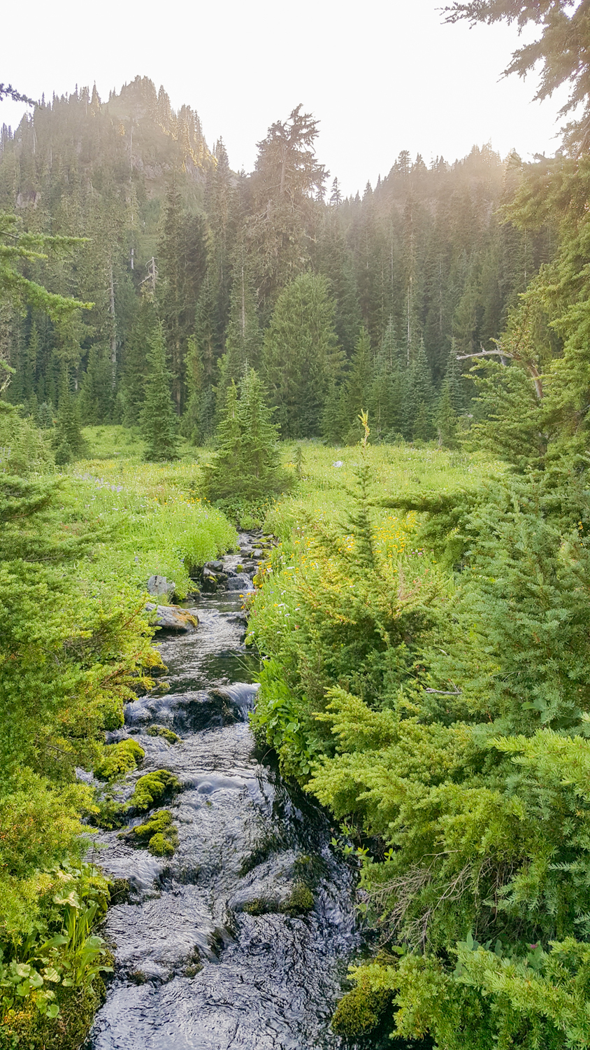 Olympic National Park High Divide Loop
