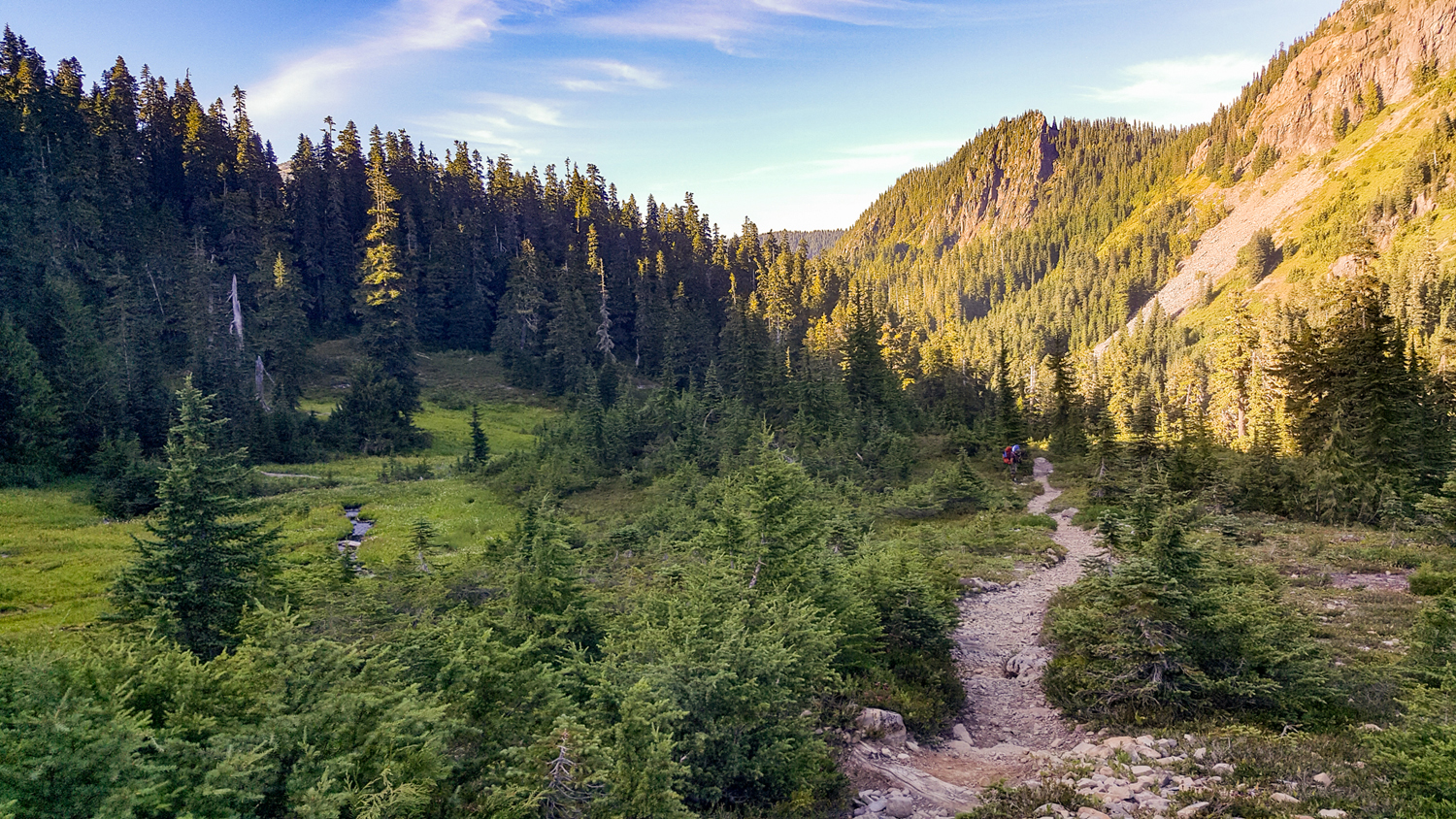 Olympic National Park High Divide Loop