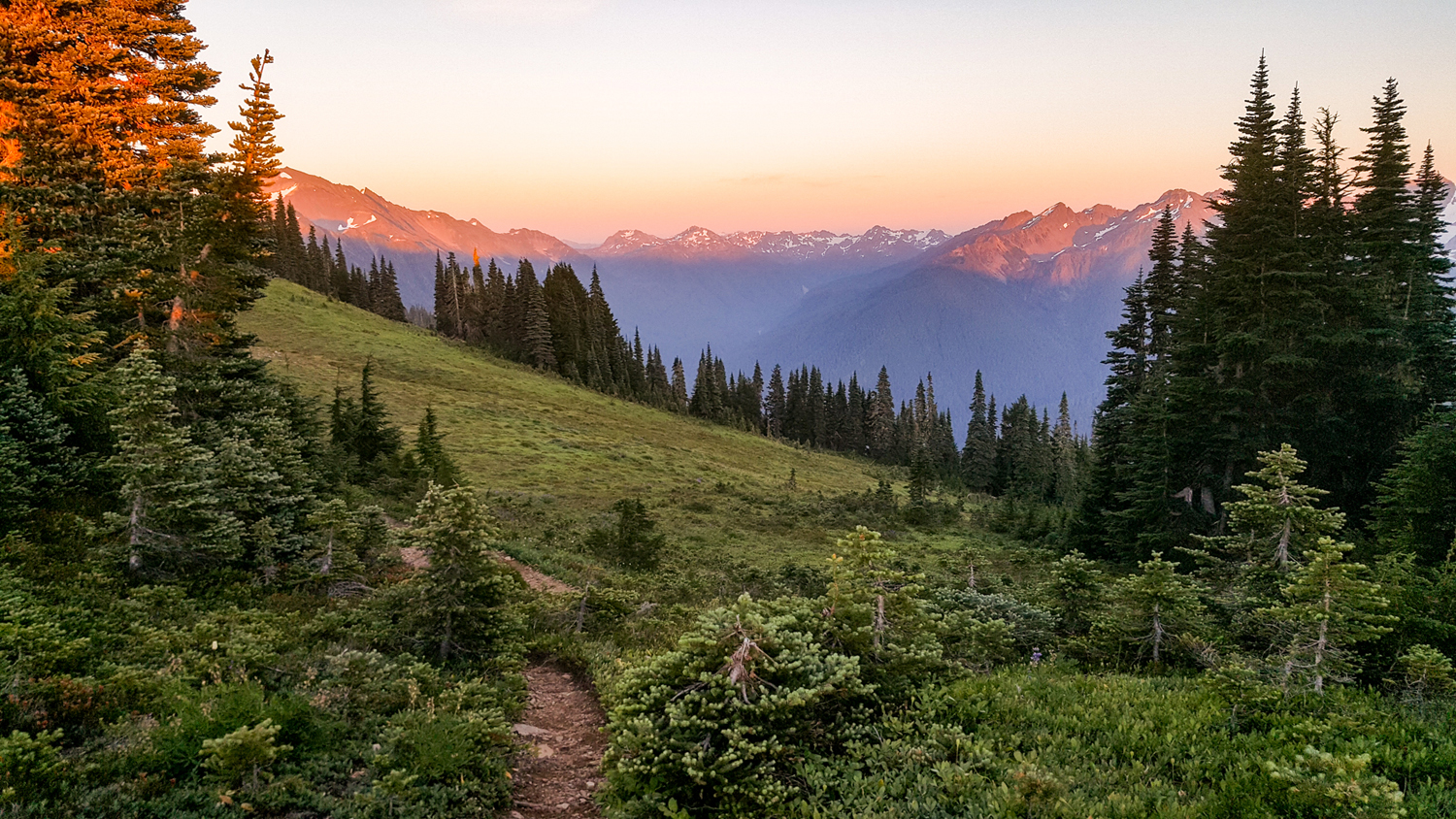 Olympic National Park High Divide Loop