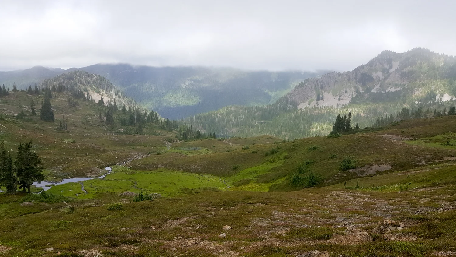 Olympic National Park High Divide Loop
