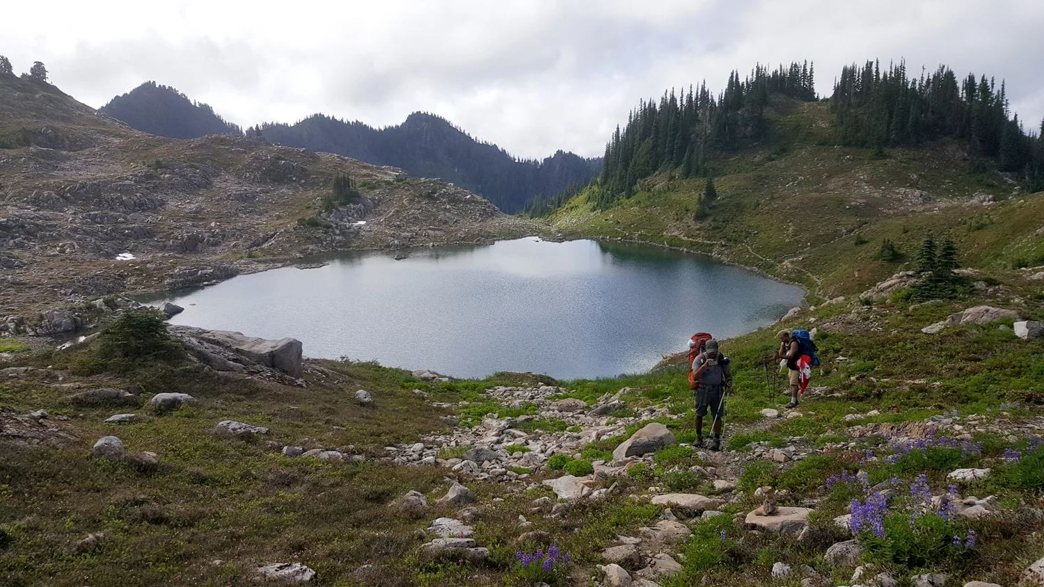Olympic National Park High Divide Loop