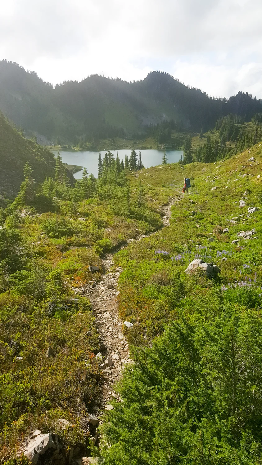 Olympic National Park High Divide Loop