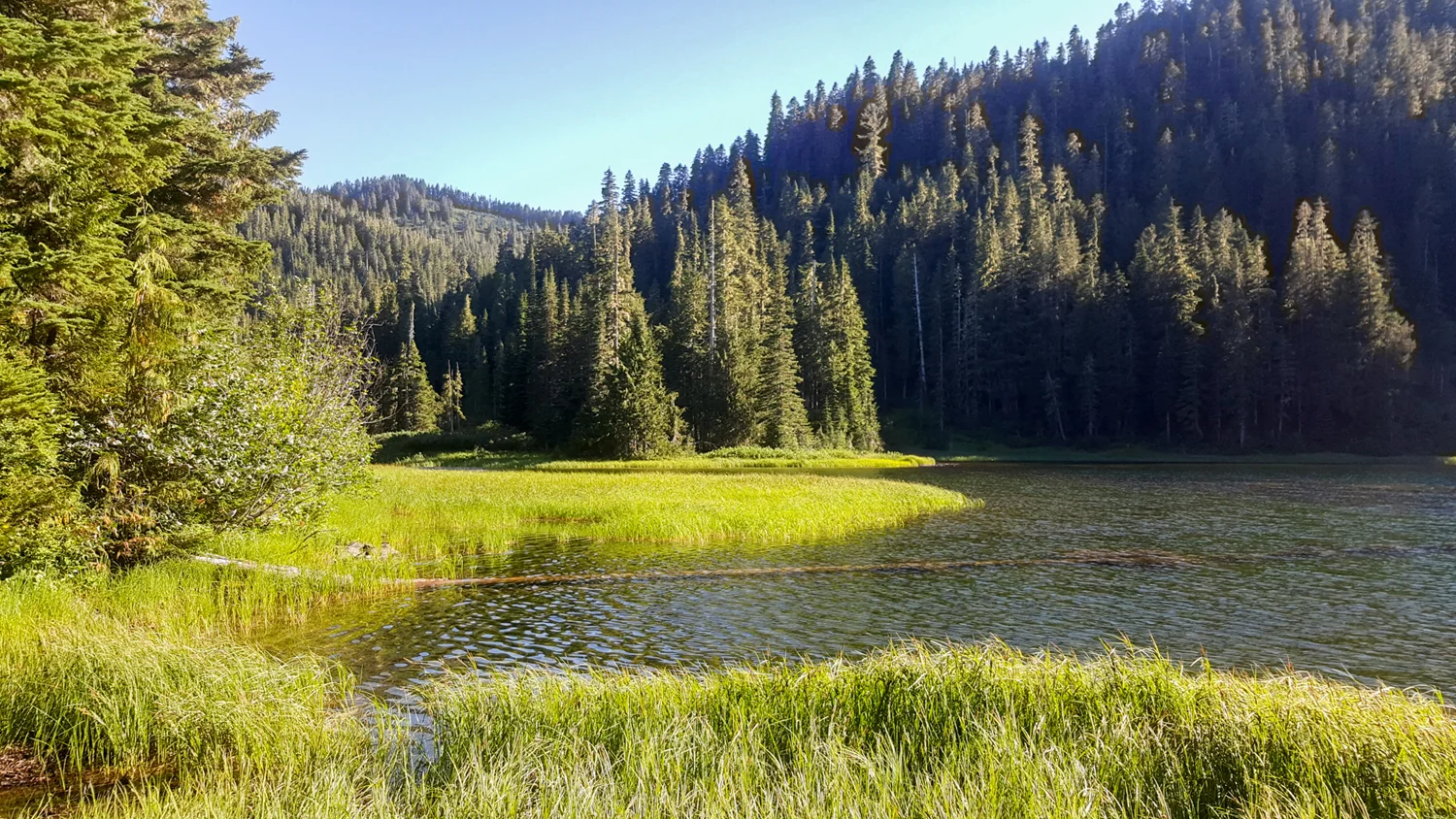 Olympic National Park High Divide Loop