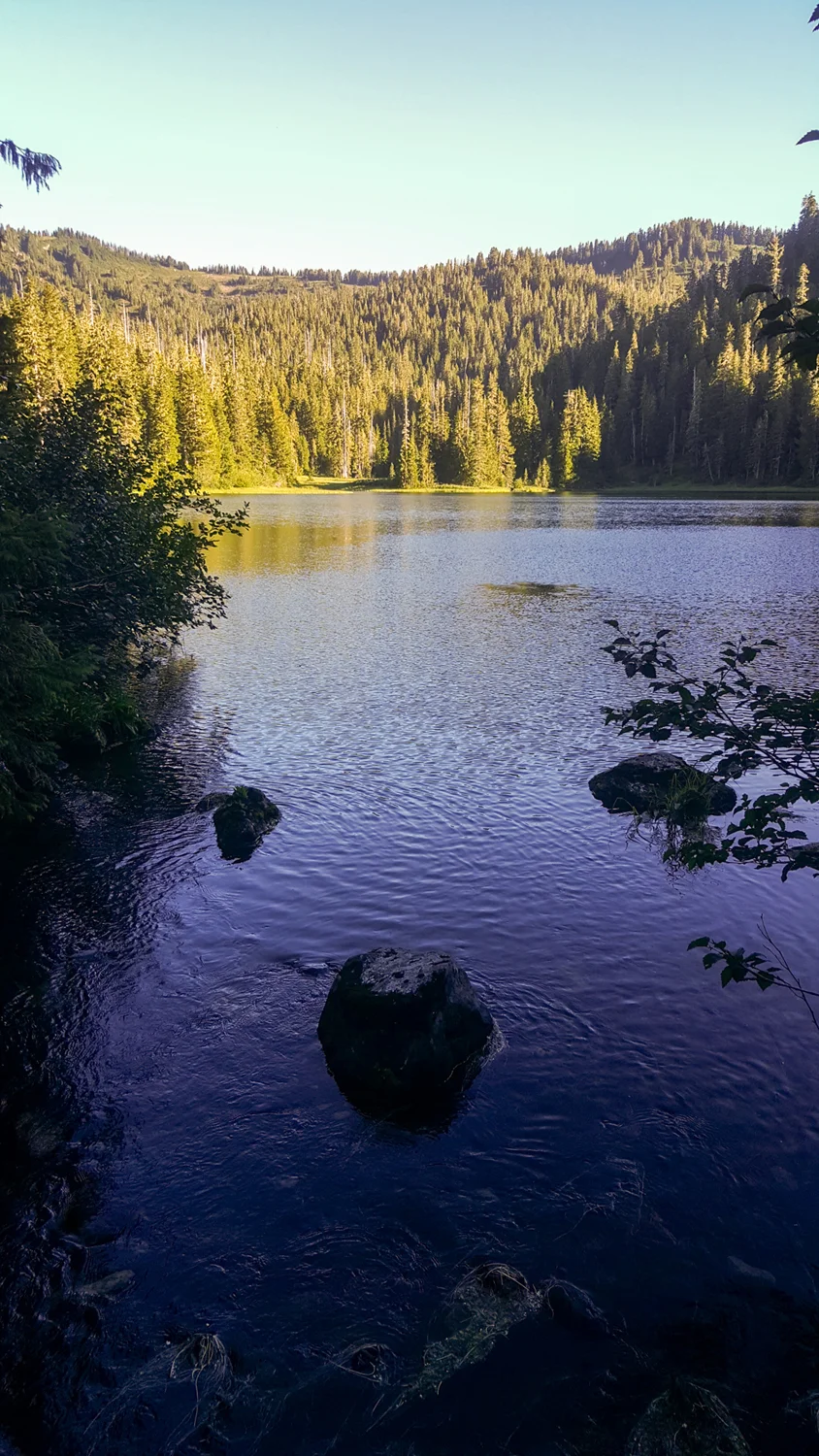 Olympic National Park High Divide Loop