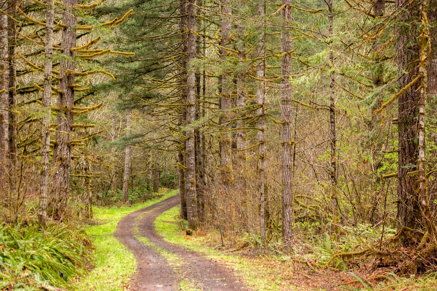 Portland Oregon