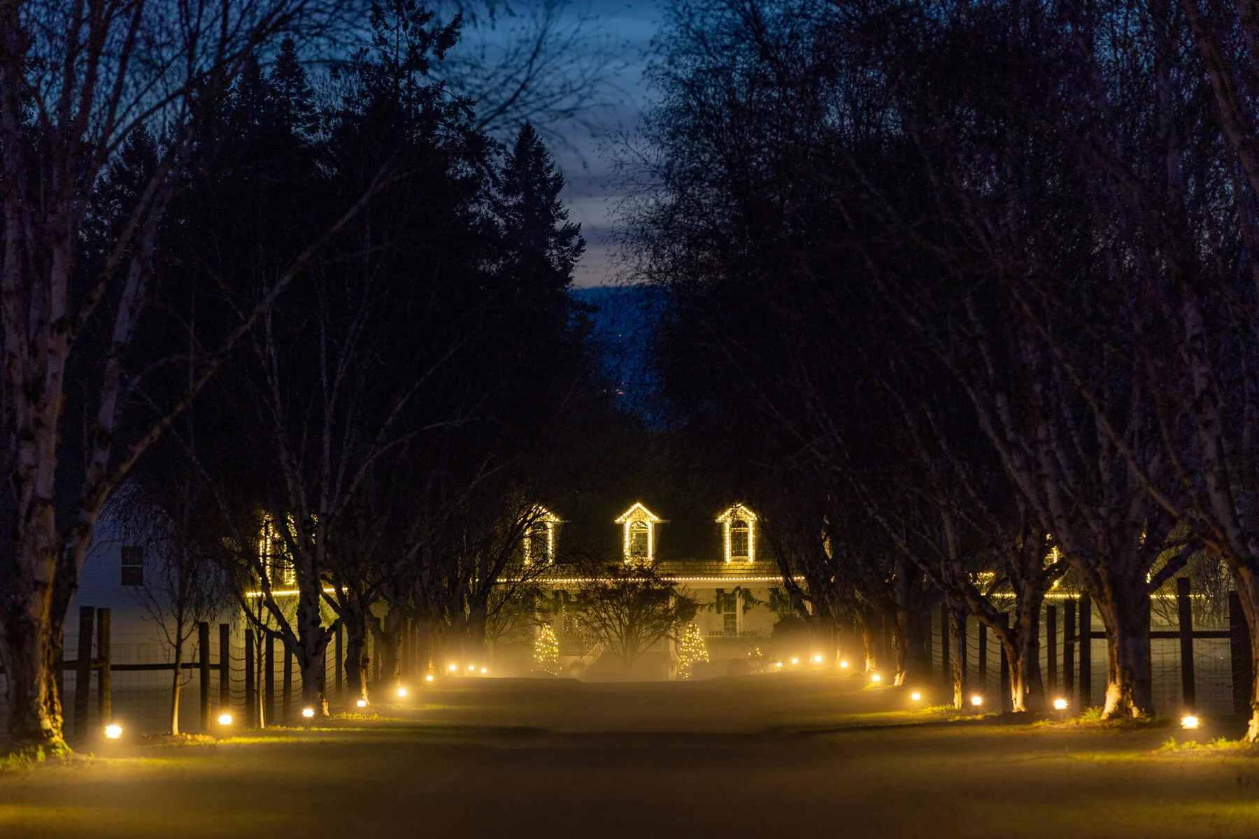 Portland Hillsboro Oregon Oakwood Gardens Winter2019