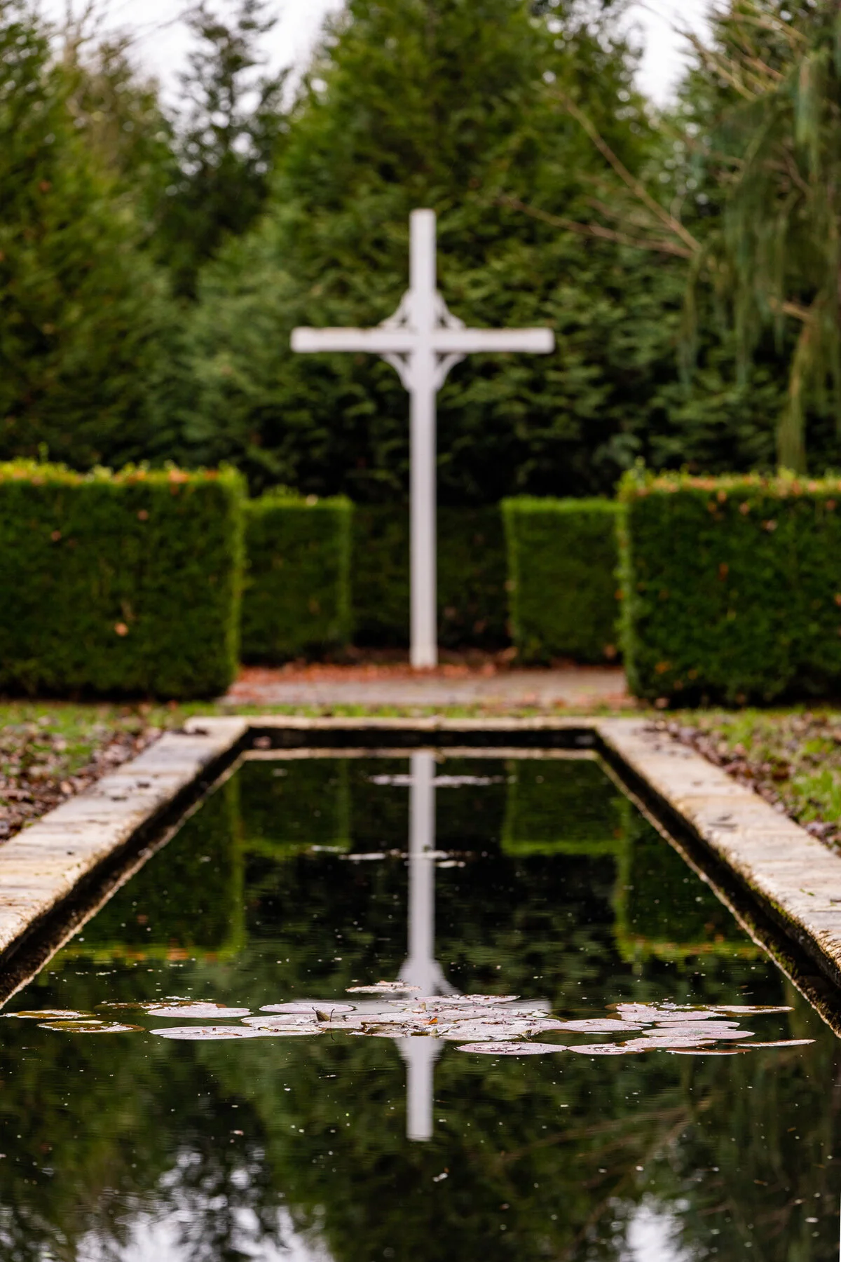Portland Hillsboro Oregon Oakwood Gardens Winter2019